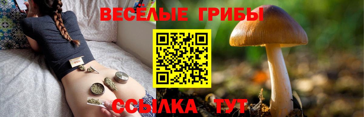 где найти   Псилоцибиновые грибы ЛСД  Вход с VPN  Дзержинск 
