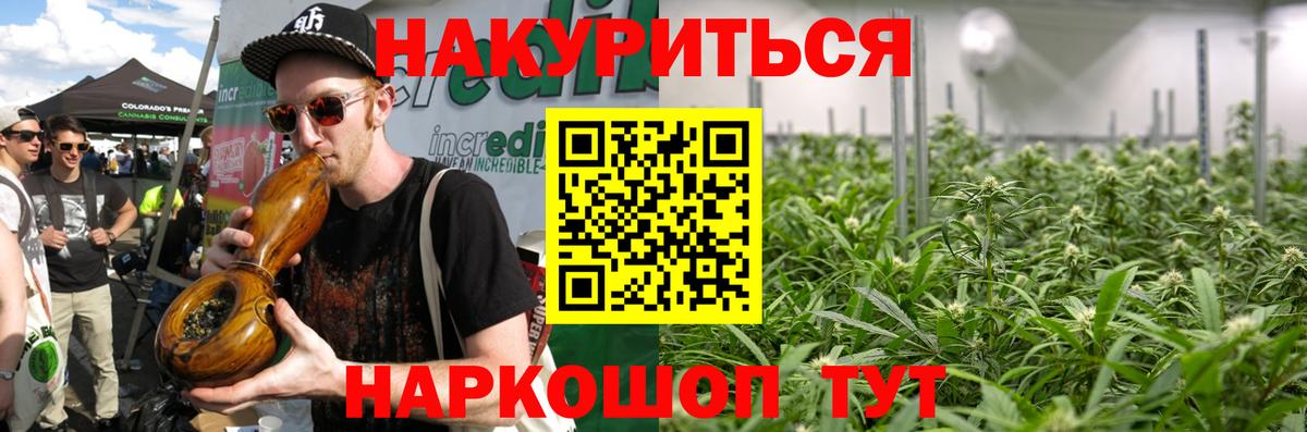 Бошки Шишки планчик  Марихуана гибрид  Вход с VPN  Каннабис индика  Дзержинск 